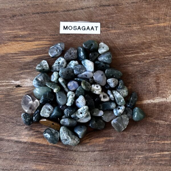 Mosagaat